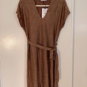 Zara shimmer stripe dress. Never worn